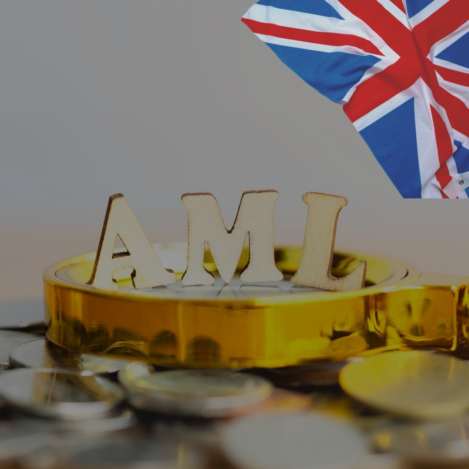 Anti Money Laundering (AML)